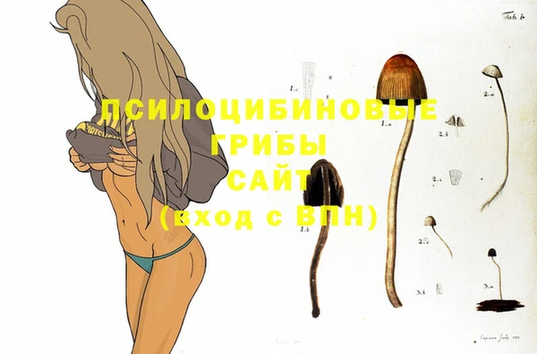 кокаин колумбия Заводоуковск