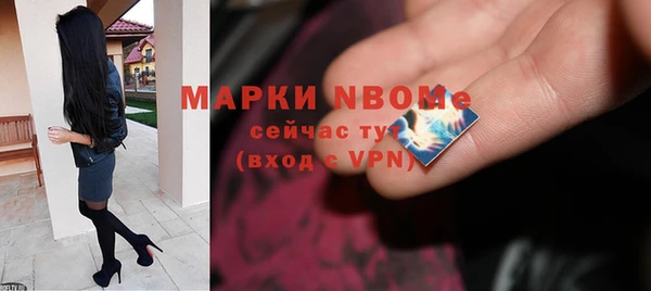 бошки Ельня
