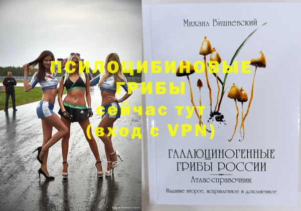 не бодяженный Елабуга