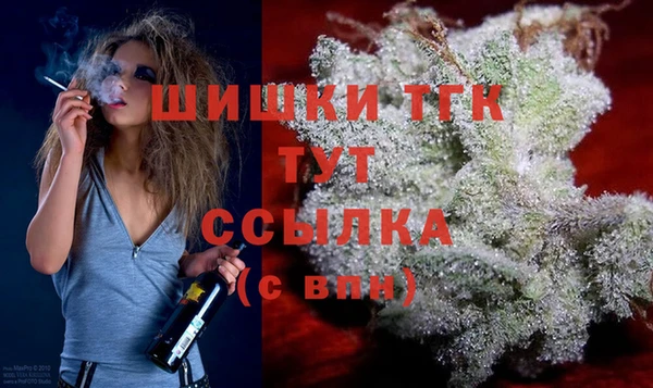 бошки Ельня