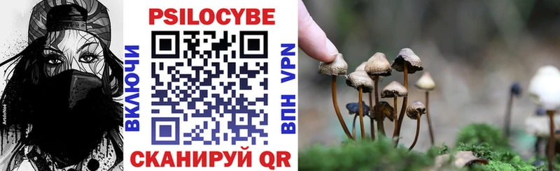 OMG как зайти Сысерть Псилоцибиновые грибы мицелий сколько стоит